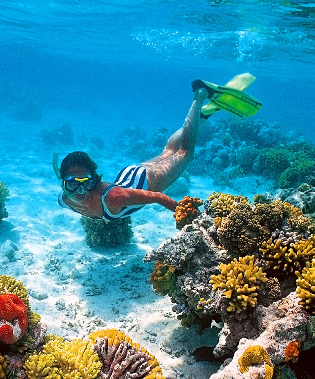 snorkeling w Egipcie, Sharm