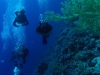 Diving Pro - zdjęcie z nurkiem 