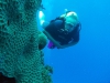 Diving Pro - zdjęcie z nurkiem 