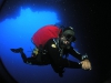 Diving Pro - zdjęcie z nurkiem
